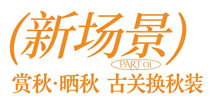 微信图片_2026-09-30_173439_383.png